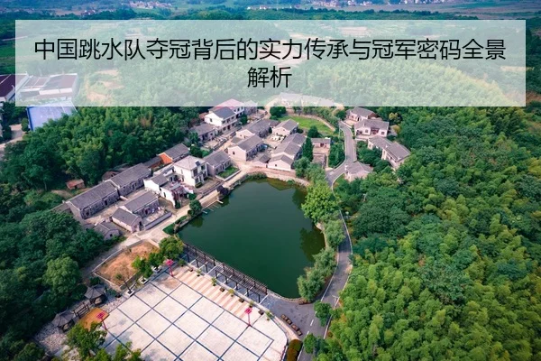 中国跳水队夺冠背后的实力传承与冠军密码全景解析