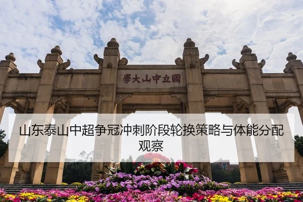 山东泰山中超争冠冲刺阶段轮换策略与体能分配观察