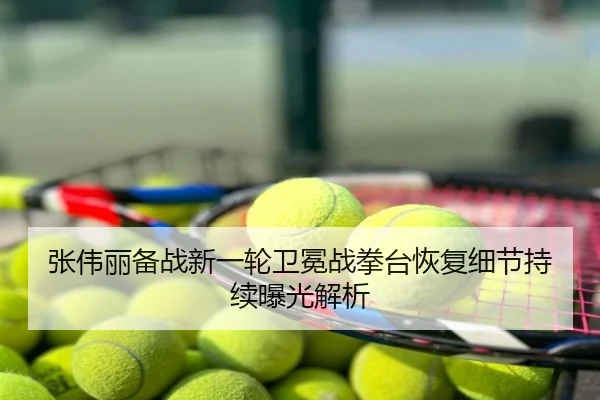 张伟丽备战新一轮卫冕战拳台恢复细节持续曝光解析