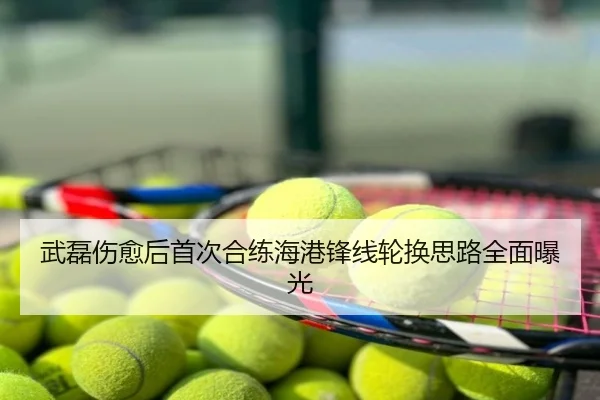 武磊伤愈后首次合练海港锋线轮换思路全面曝光